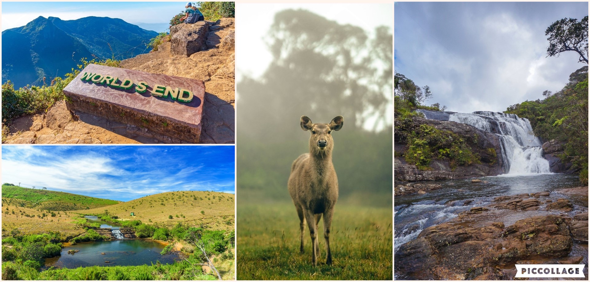 Horton Plains National Park